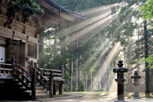 この記事のまとめです。